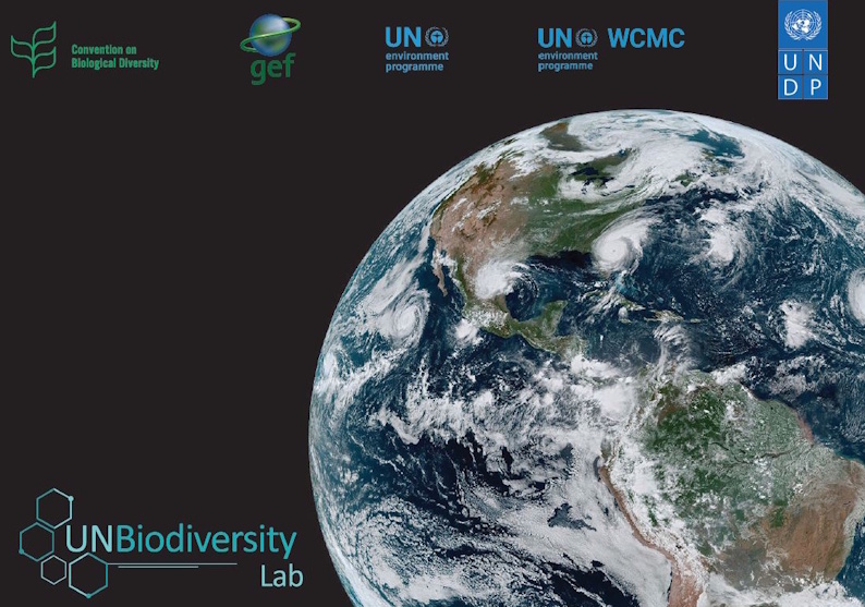 UN Biodiversity Lab